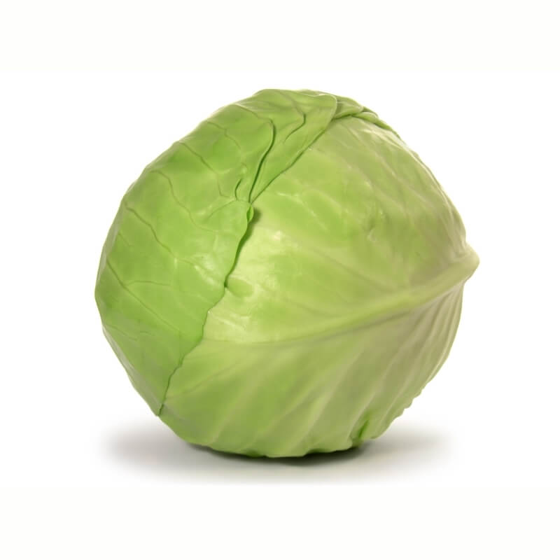 Cabbage