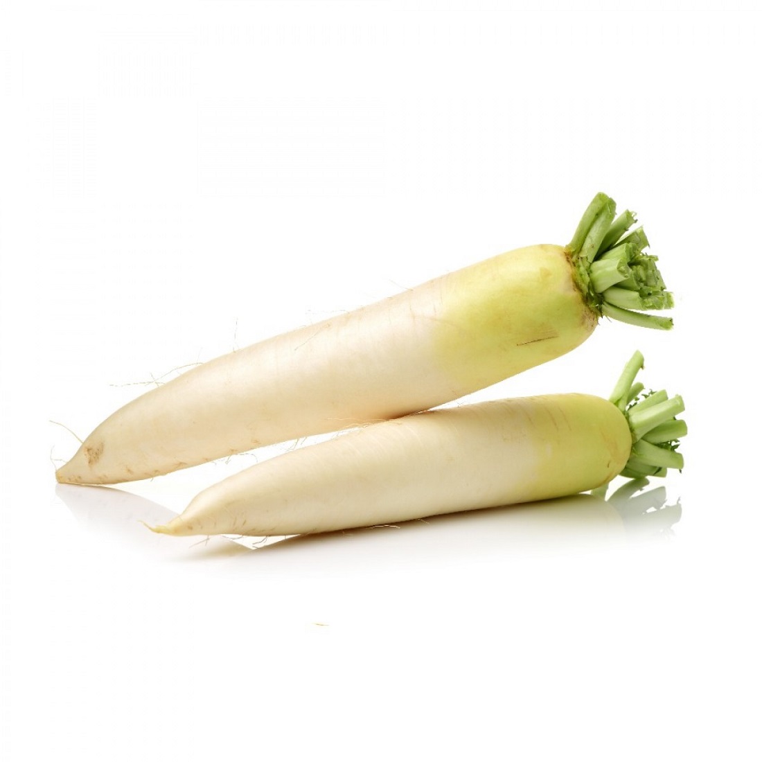 Radish, Mulo